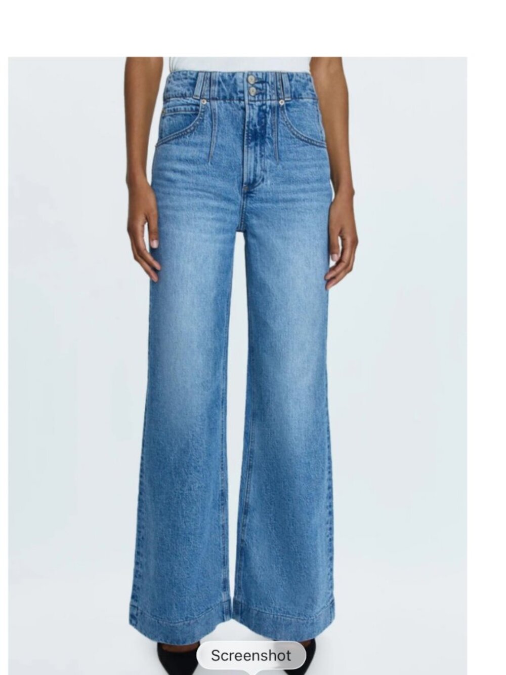 PISTOLA Lana High Rise Ultra Wide Leg Jeans Size 24